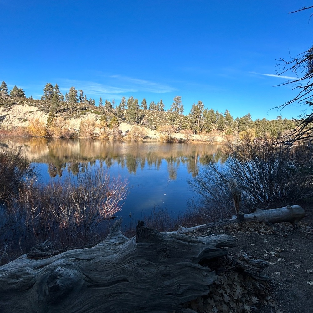 Meet your Posher, Peyton